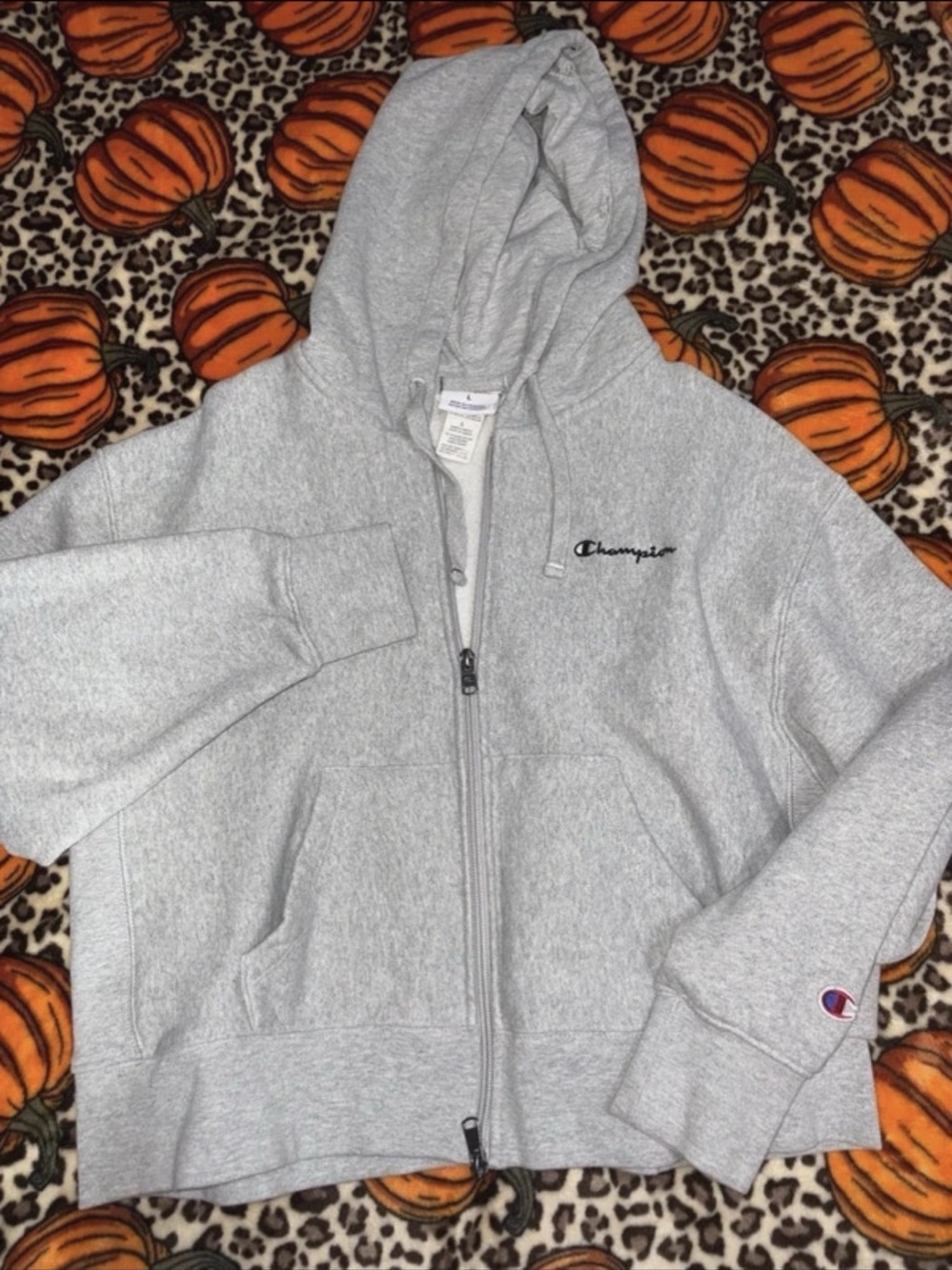 Champion Reverse Weave Full Zip Hoodie Gray Large